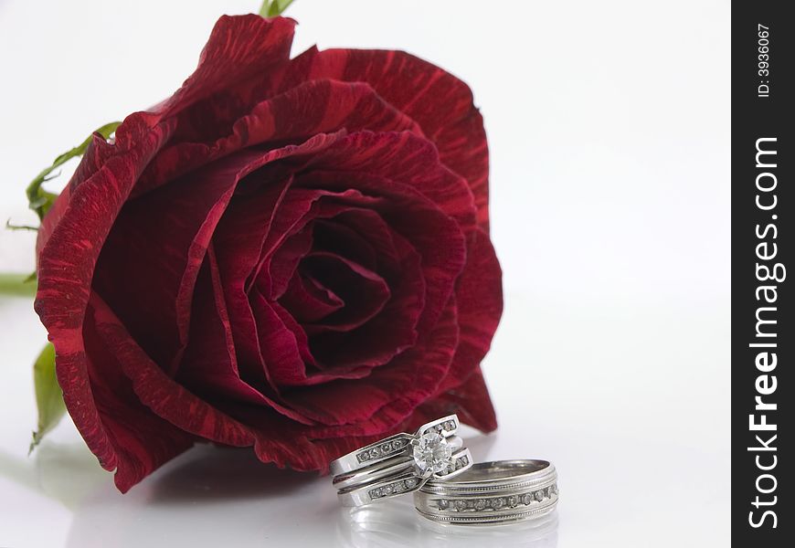 Two diamond wedding rings set in front of a red rose. Two diamond wedding rings set in front of a red rose