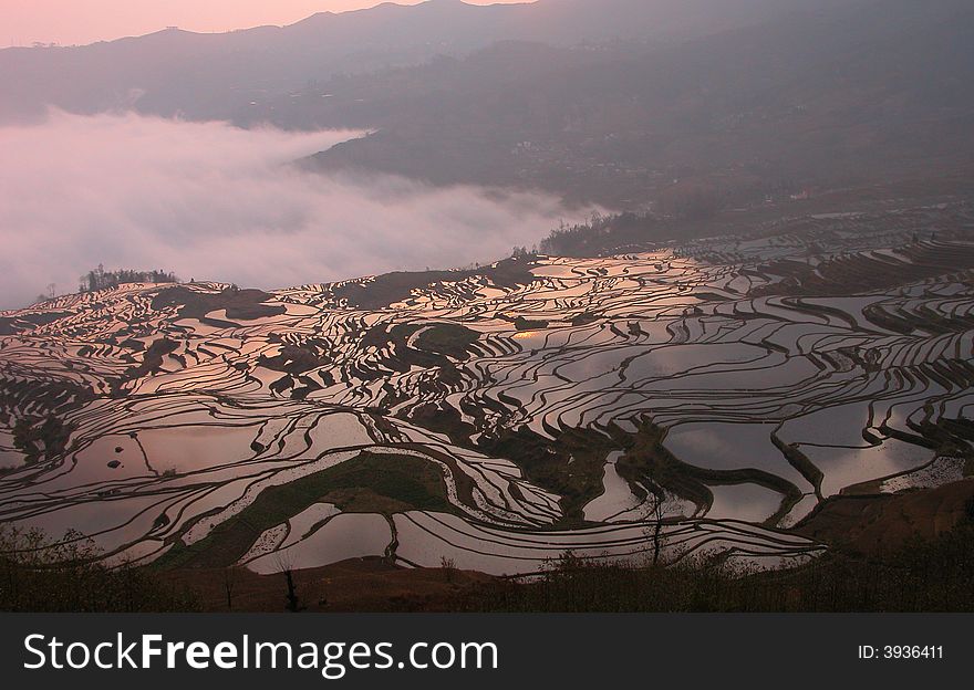 Sunrise in YuanYang terrace, west-south of  YunNan province China. Sunrise in YuanYang terrace, west-south of  YunNan province China.
