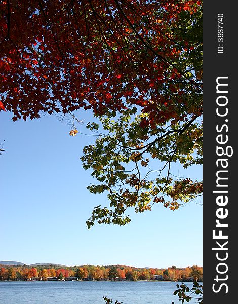 Fall foliage colors over a lake