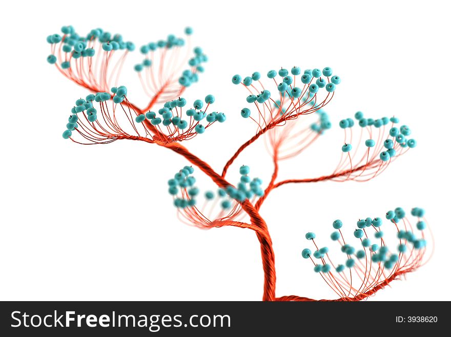 Peral Tree