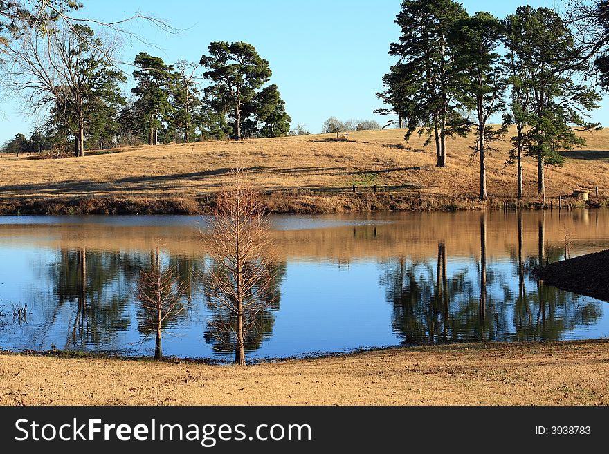 Beautiful reflections in this winter time pond in East Texas. Beautiful reflections in this winter time pond in East Texas