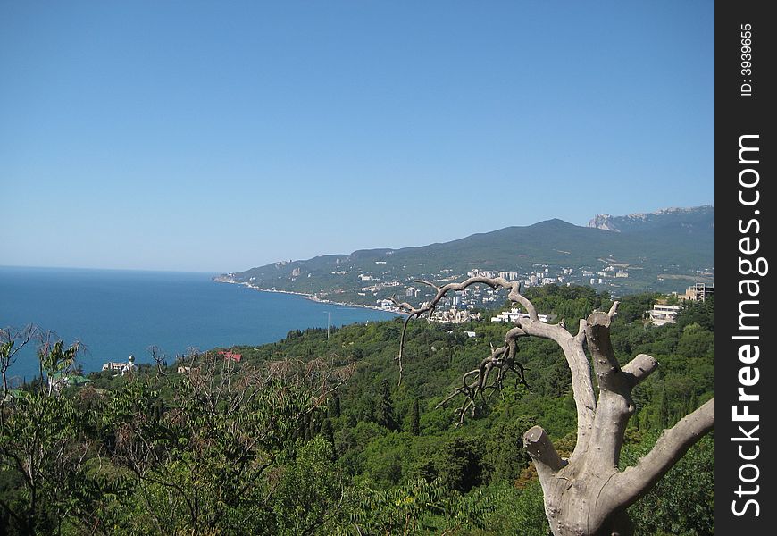 View of nice city yalta