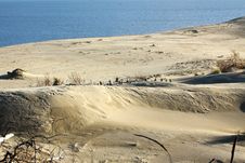 Sand Dune At The Seaside Stock Images Sand Dune At The Seaside Stock Images