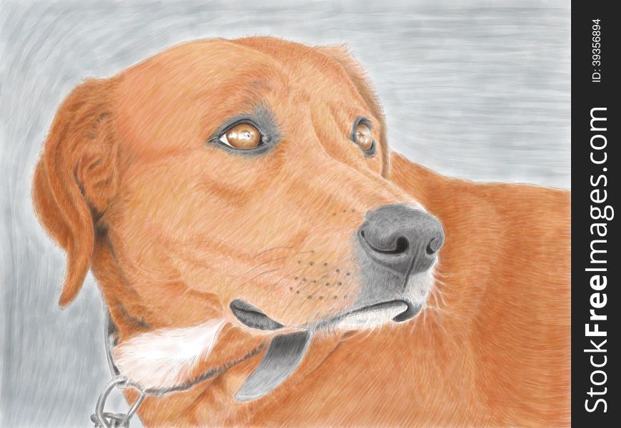 Illustration of a sad dog