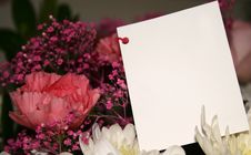 Card On Flowers Stock Photo Card On Flowers Stock Photo