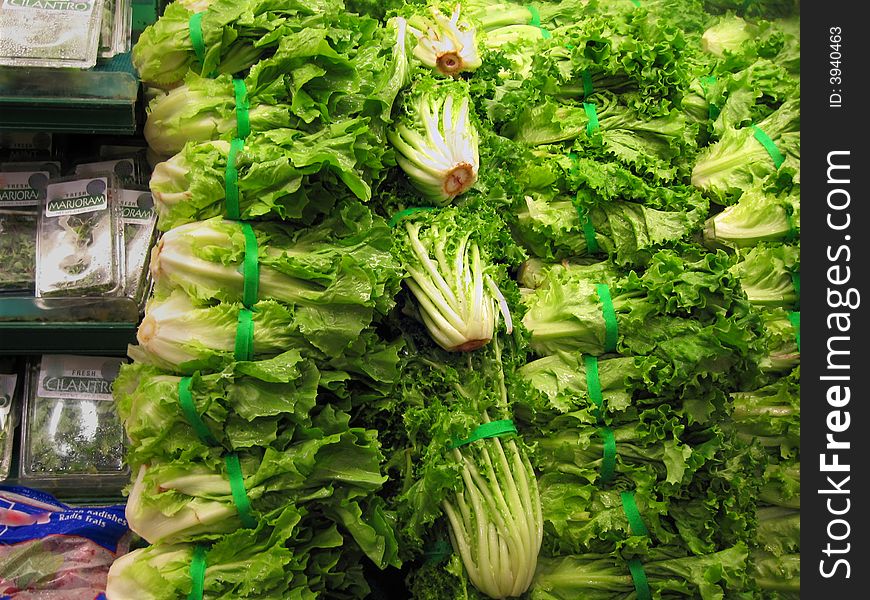 Rows of green leaf vegetable / lettuce in a grocery store. Rows of green leaf vegetable / lettuce in a grocery store