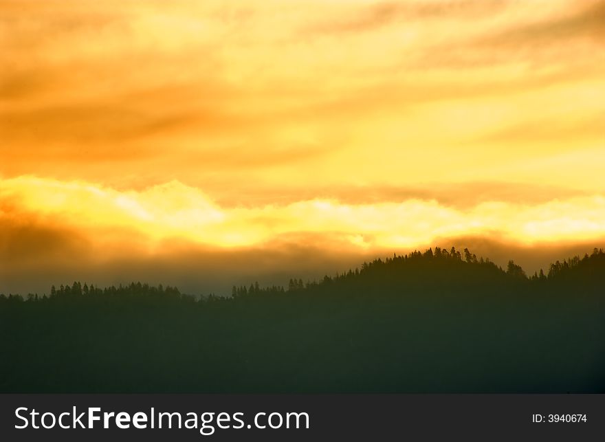 Mountain and tree in the fog at sunrise