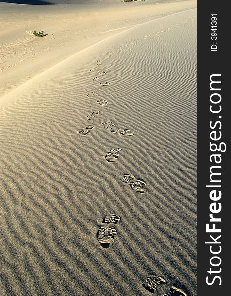 Foot prints in ripples of sand on a sand dune in the desert with shadows of early morning. Foot prints in ripples of sand on a sand dune in the desert with shadows of early morning