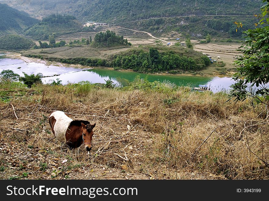 A horse stands before a grand landscape in china. A horse stands before a grand landscape in china