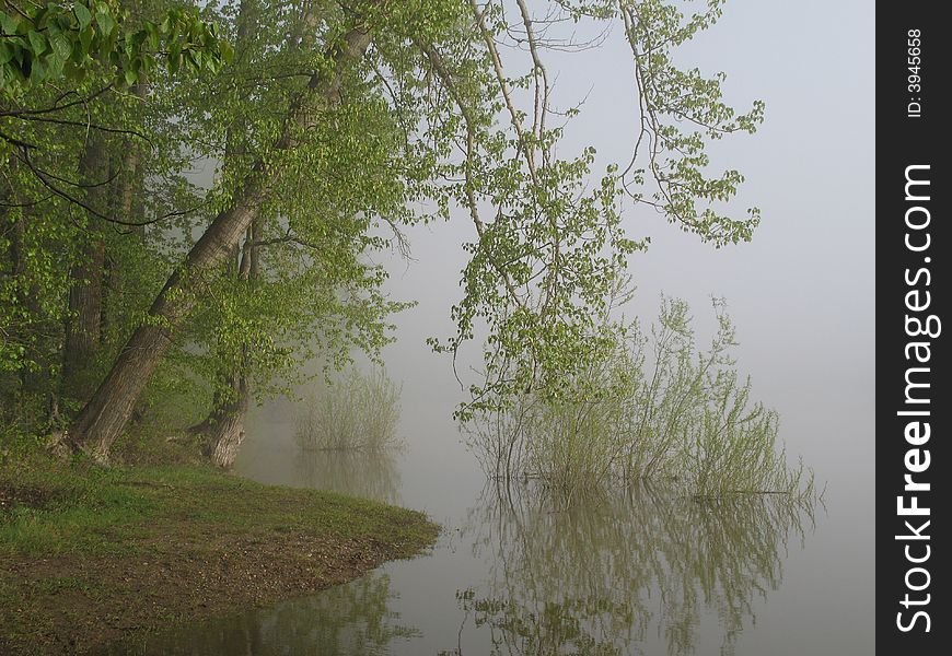 Flooded river bank on early misty morning. Flooded river bank on early misty morning