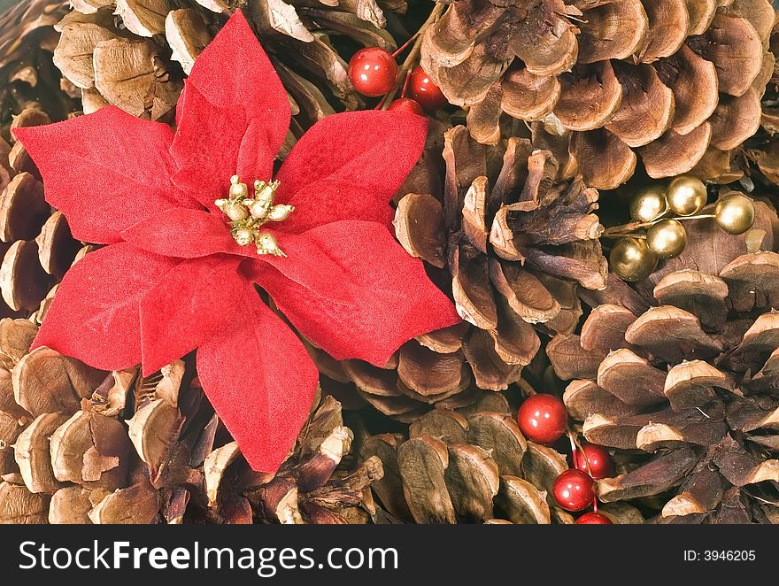 Background image of pine cones with red berries and poinsettias. Background image of pine cones with red berries and poinsettias