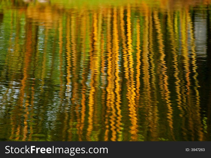 Reflection of yellow bamboo in the pond