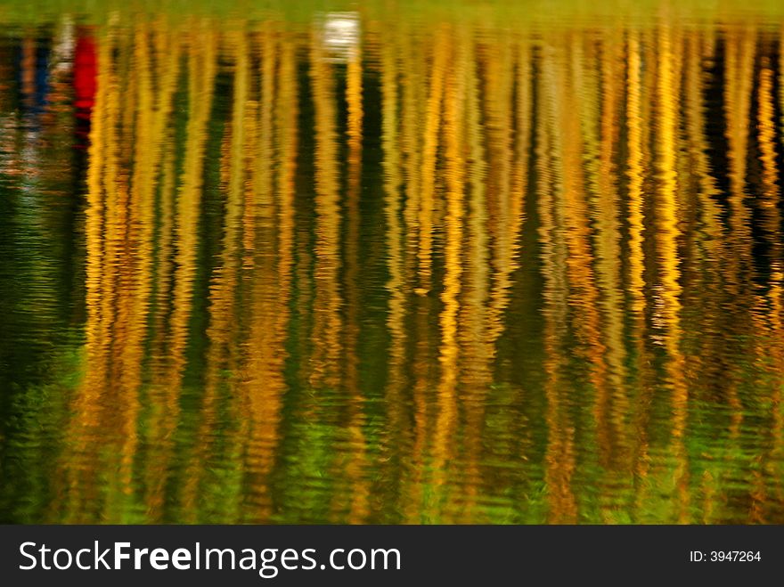 Reflection of yellow bamboo in the pond