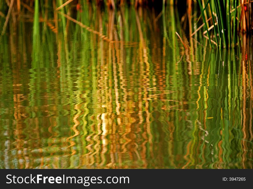 Reflection of tall grass in the ponds