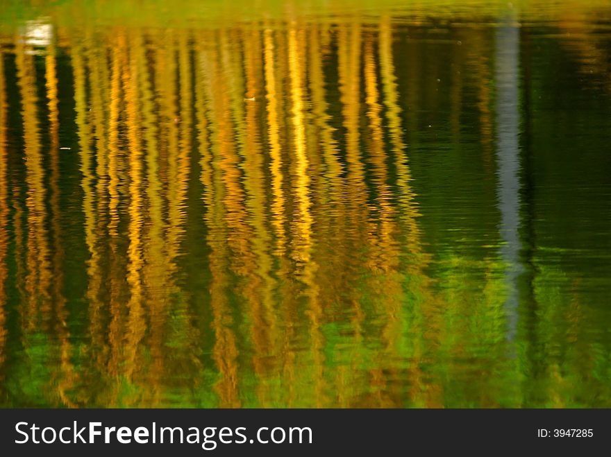 Yellow Bamboo Reflection In The Pond