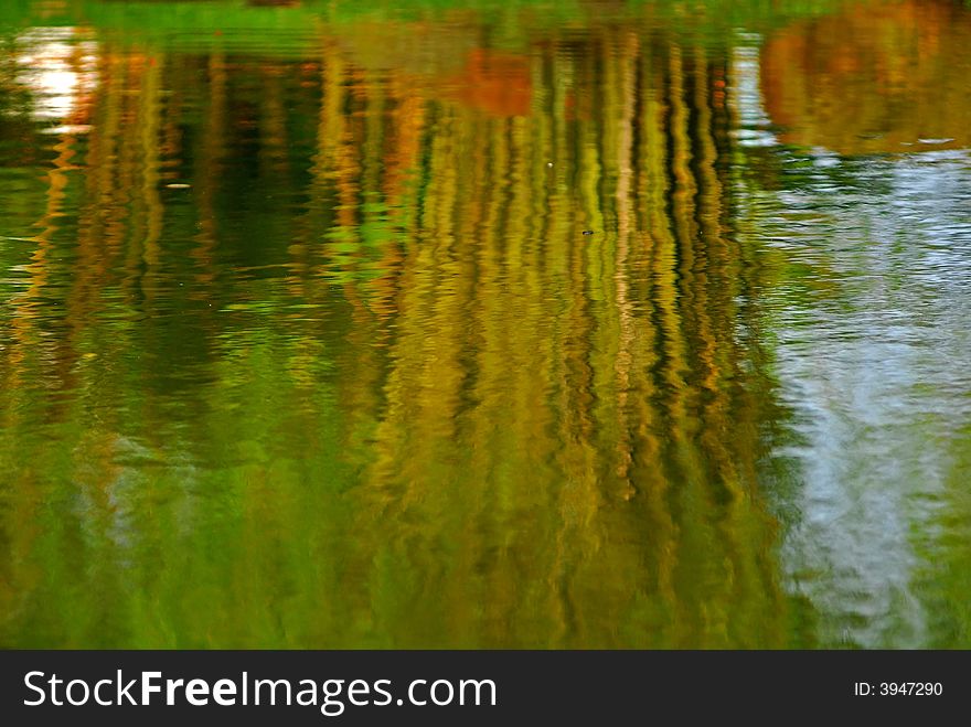 Yellow bamboo reflection in the ponds