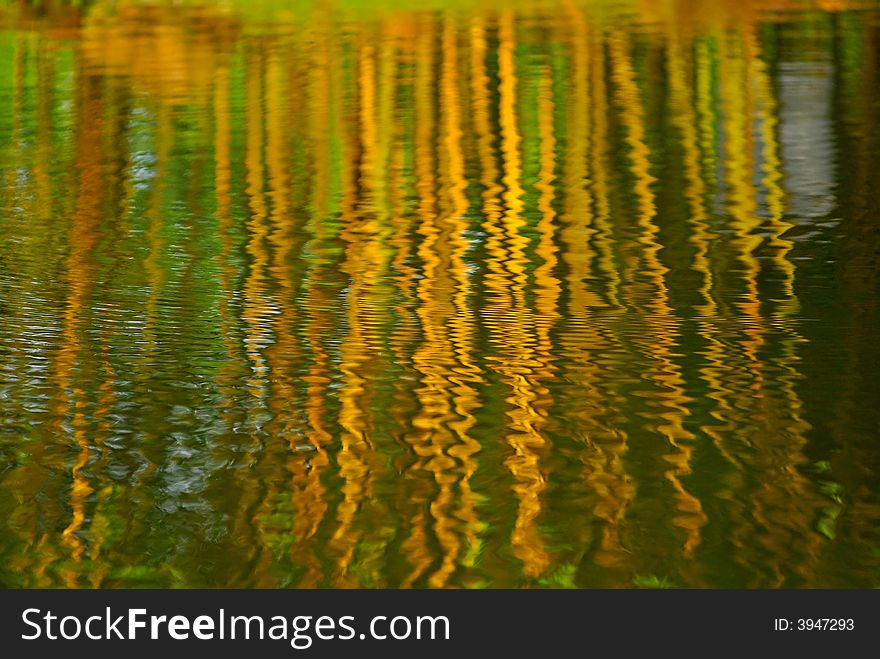 Yellow Bamboo Reflection In The Pond