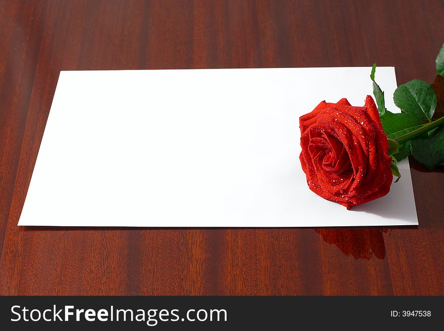The red rose lays on a pure sheet of a paper