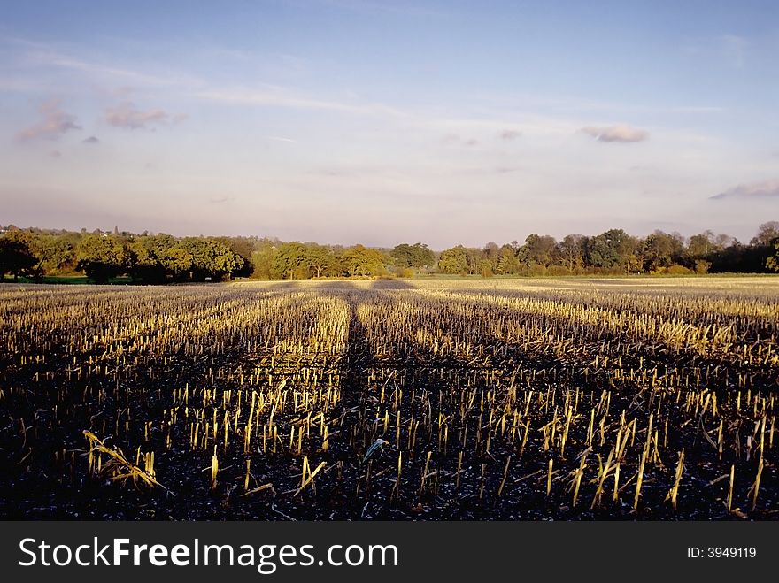 Farmland showing empty field of arable crops after harvesting.