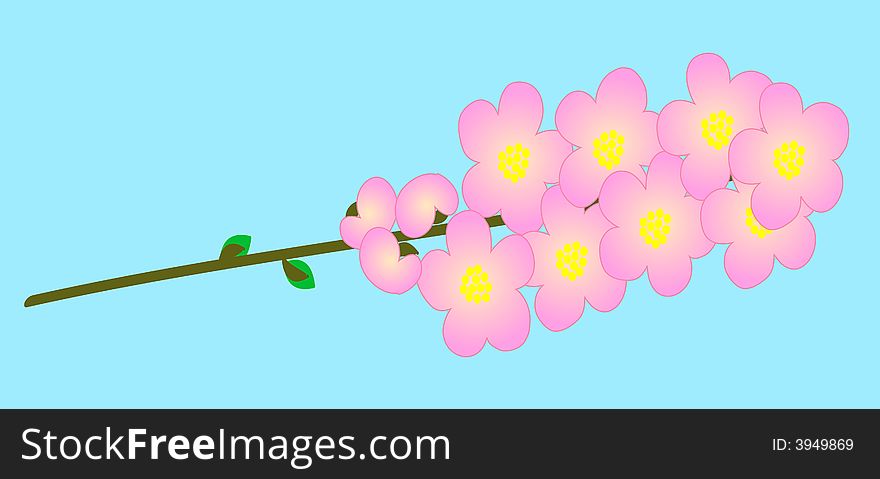 Vivid, colorful, cherry flowers on blue