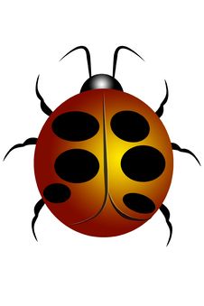 Lady Bug Or Ladybird 3 Stock Image