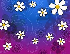 Colorful Spring Flowers Royalty Free Stock Photo Colorful Spring Flowers Royalty Free Stock Photo