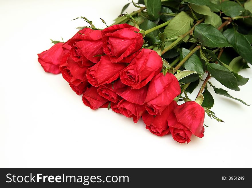 Bouquet of red roses on a white background