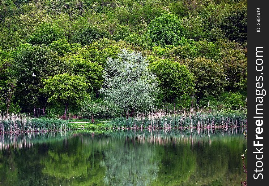 Water reflection on a lake