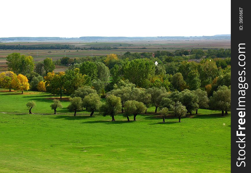 Green field in Vojvodina, Serbia