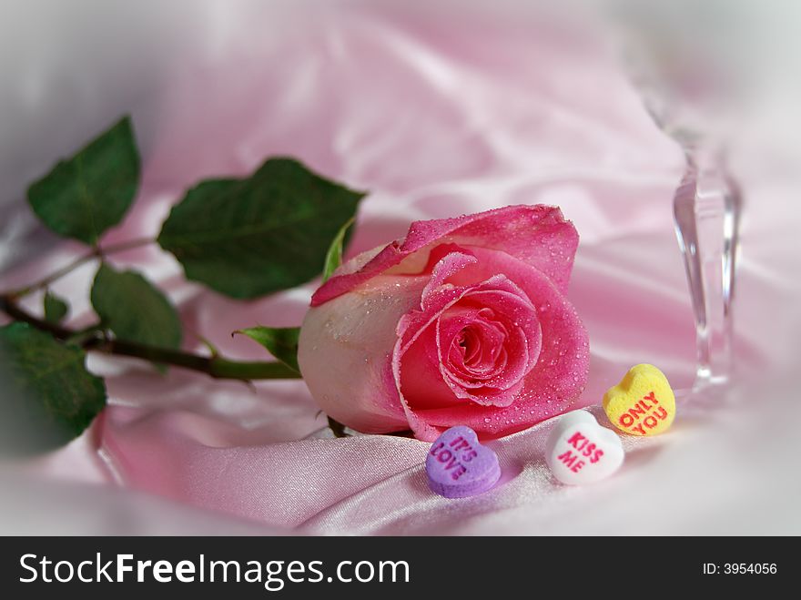 Pink rose with candy hearts on pink satin. Pink rose with candy hearts on pink satin.