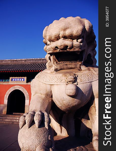 Stone lion in front of Juesheng Temple of Beijing
