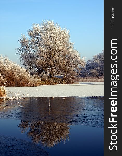 Winter landscape with white trees reflected in the water