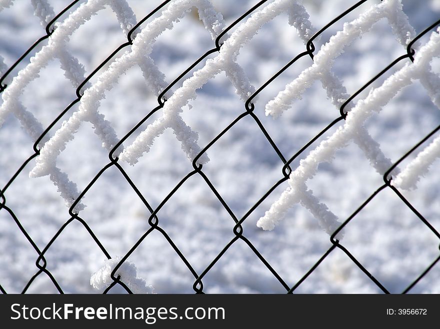 Wire netting fence with snow. Wire netting fence with snow