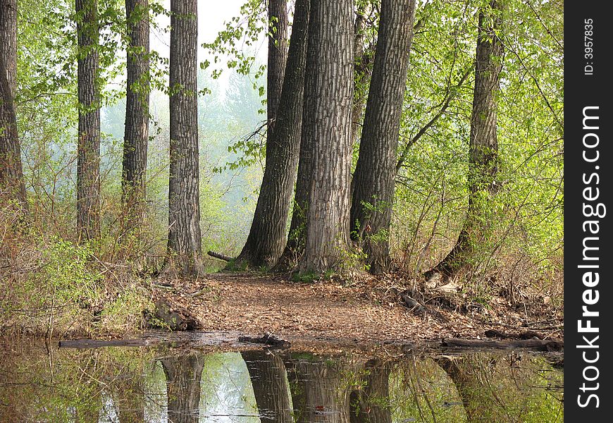 Flooded Paths