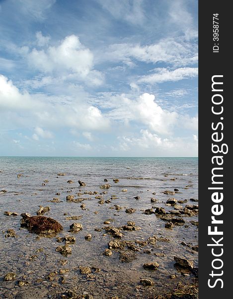 An image of the clear water and beatiful sky that Florida enjoys almost all year long. An image of the clear water and beatiful sky that Florida enjoys almost all year long.