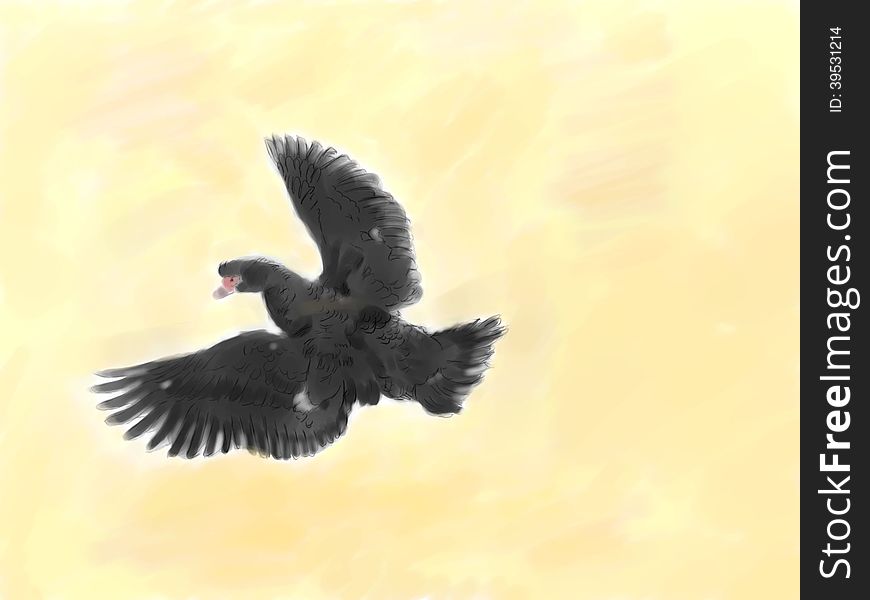 Illustration of black flying duck