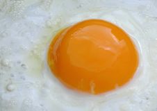 Egg Close Up Frying In Pan Stock Photography Egg Close Up Frying In Pan Stock Photography