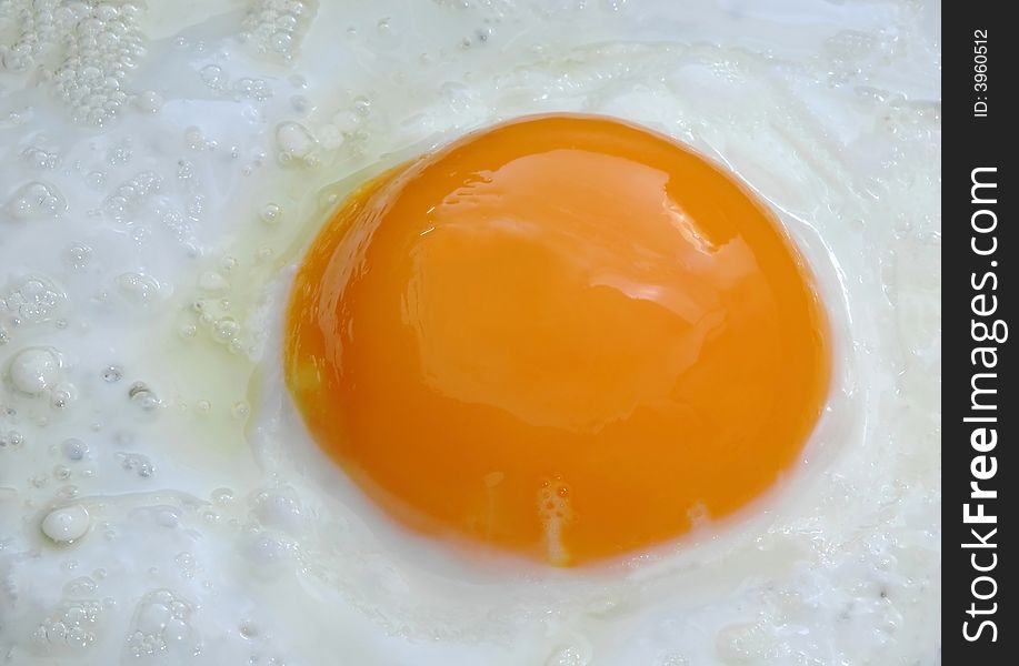 Egg close up frying in pan