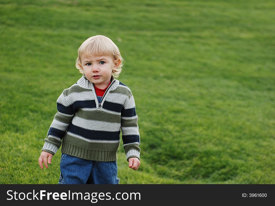 A little kid is enjoying his time in the park. A little kid is enjoying his time in the park