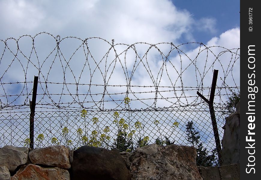 Yellow flowers growing on the stones under barbed wire on the background of clouded sky. Yellow flowers growing on the stones under barbed wire on the background of clouded sky