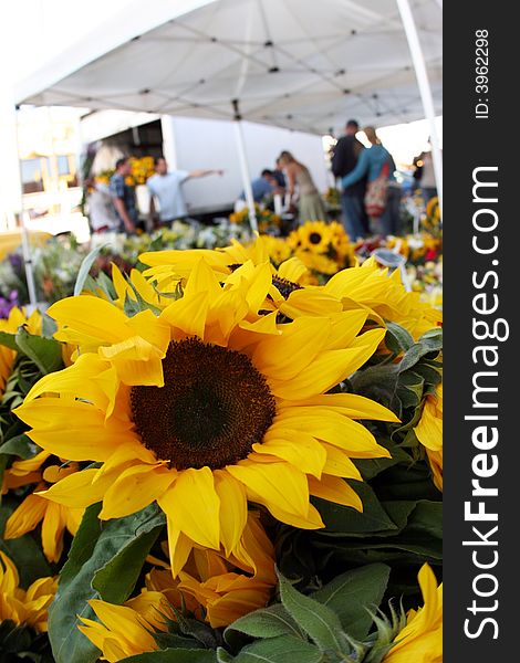 Sunflowers At The Market