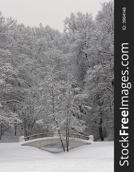 Winter landscape with the bridge, trees. All is covered by a snow 2. Winter landscape with the bridge, trees. All is covered by a snow 2