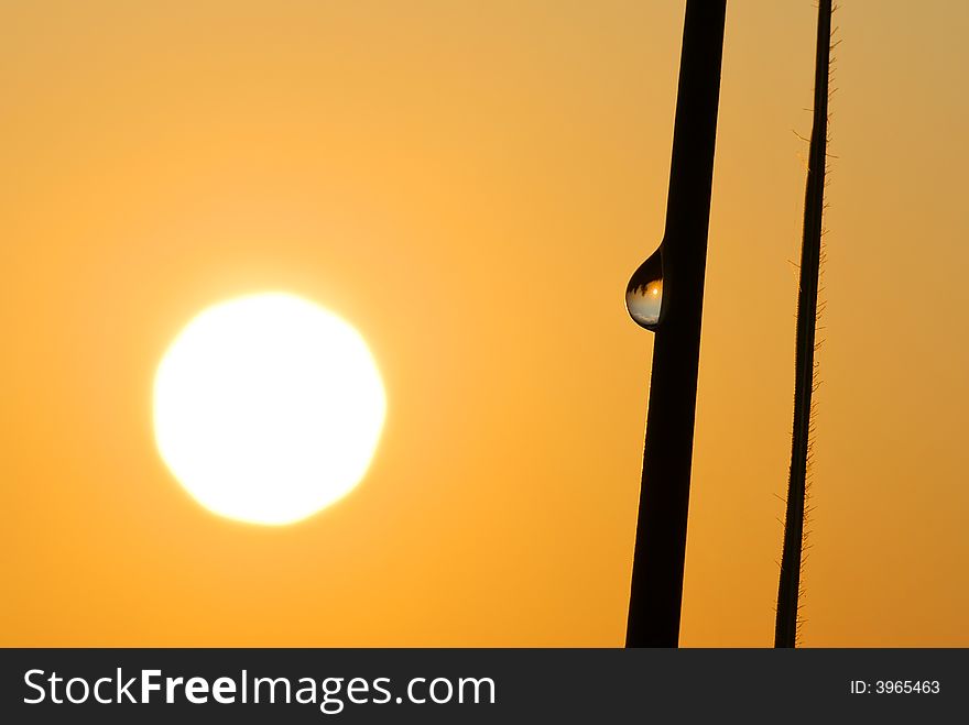 A drop of water on a long grass capturing an upside down image of the sun at sunrise. A drop of water on a long grass capturing an upside down image of the sun at sunrise