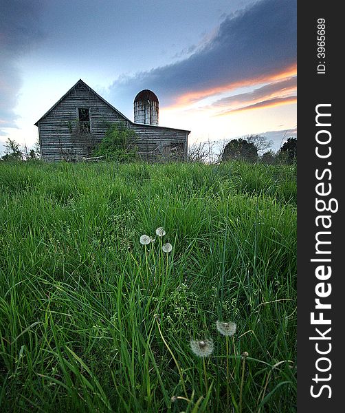 An old Virginia rustic barn with a few dandelion's at dusk