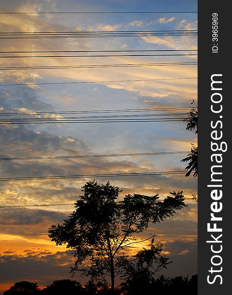 Beautiful sunset and amazing cloud with  tree silhouette. Beautiful sunset and amazing cloud with  tree silhouette
