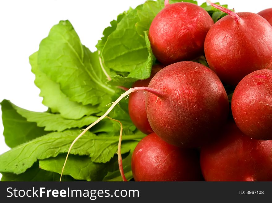 Bunch of radishes isolated on white background