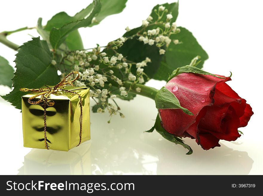 Nice red rose with a gift on white background