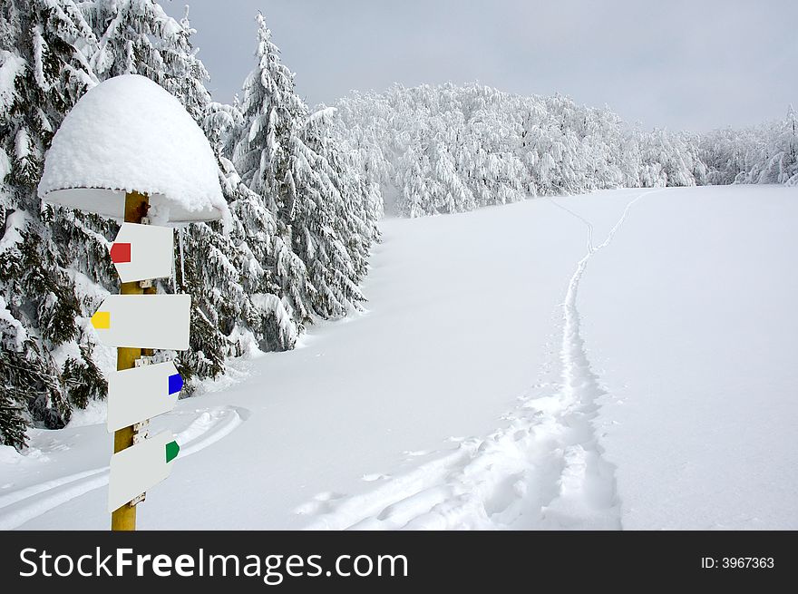 White winter landscape with way Signs