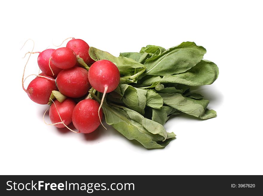 Bunch of radishes on the white background