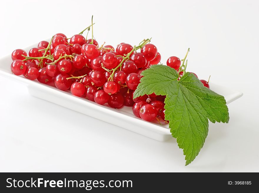 Red currants with leaf on a white plate